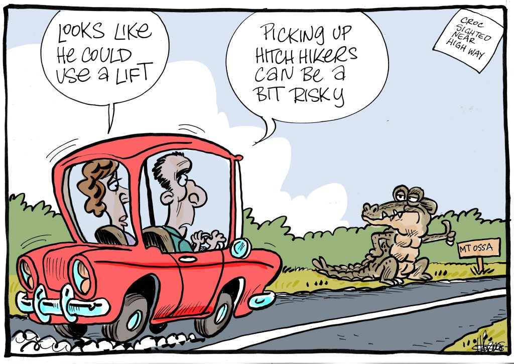 Harry Bruce's cartoon depicts the rescued croc. Harry Bruce's cartoon depicts the rescued croc.